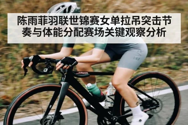 陈雨菲羽联世锦赛女单拉吊突击节奏与体能分配赛场关键观察分析